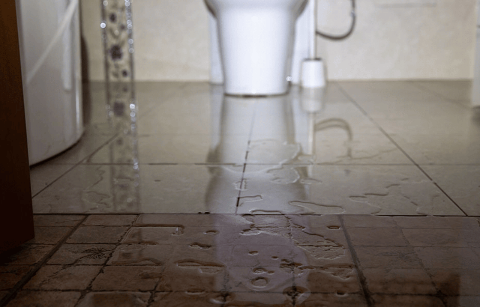 Residential Sewage Backup Cleanup in Mesa, AZ