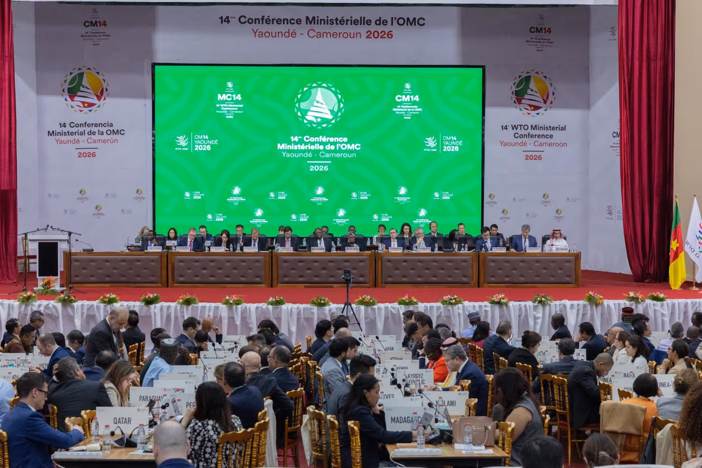 The 14th WTO Ministerial Conference: Cutting Through the Noise