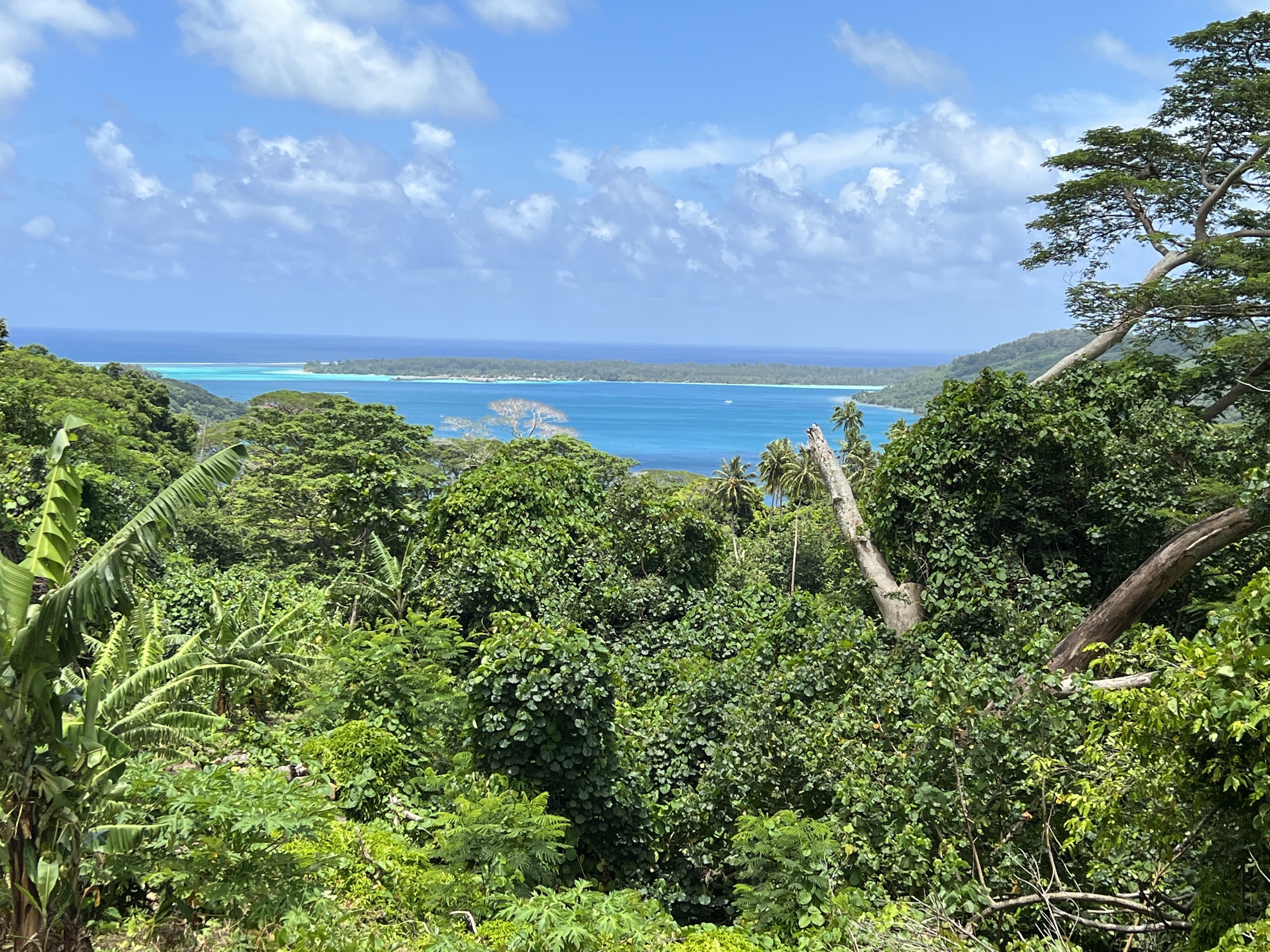 The Bora Bora lagoon seen from a hilltop on a bright sunny day. French Polynesia