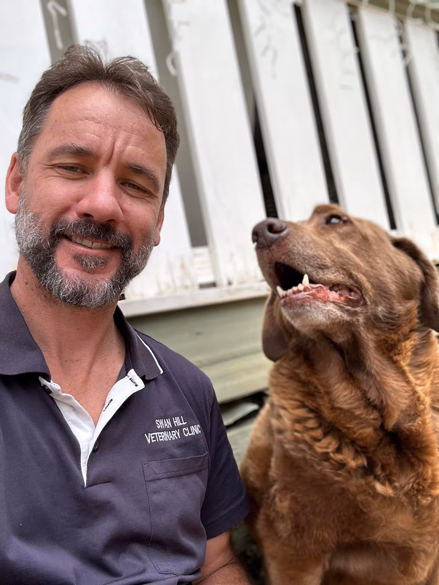 Man in navy blue shirt with 'Skin Hill Veterinary Clinic' text smiling next to a large brown dog looking up.
