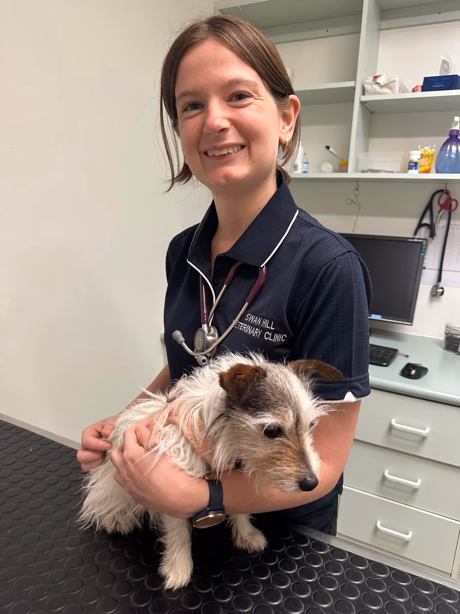 Veterinarian in a clinic holding a small white and brown dog on an examination table.