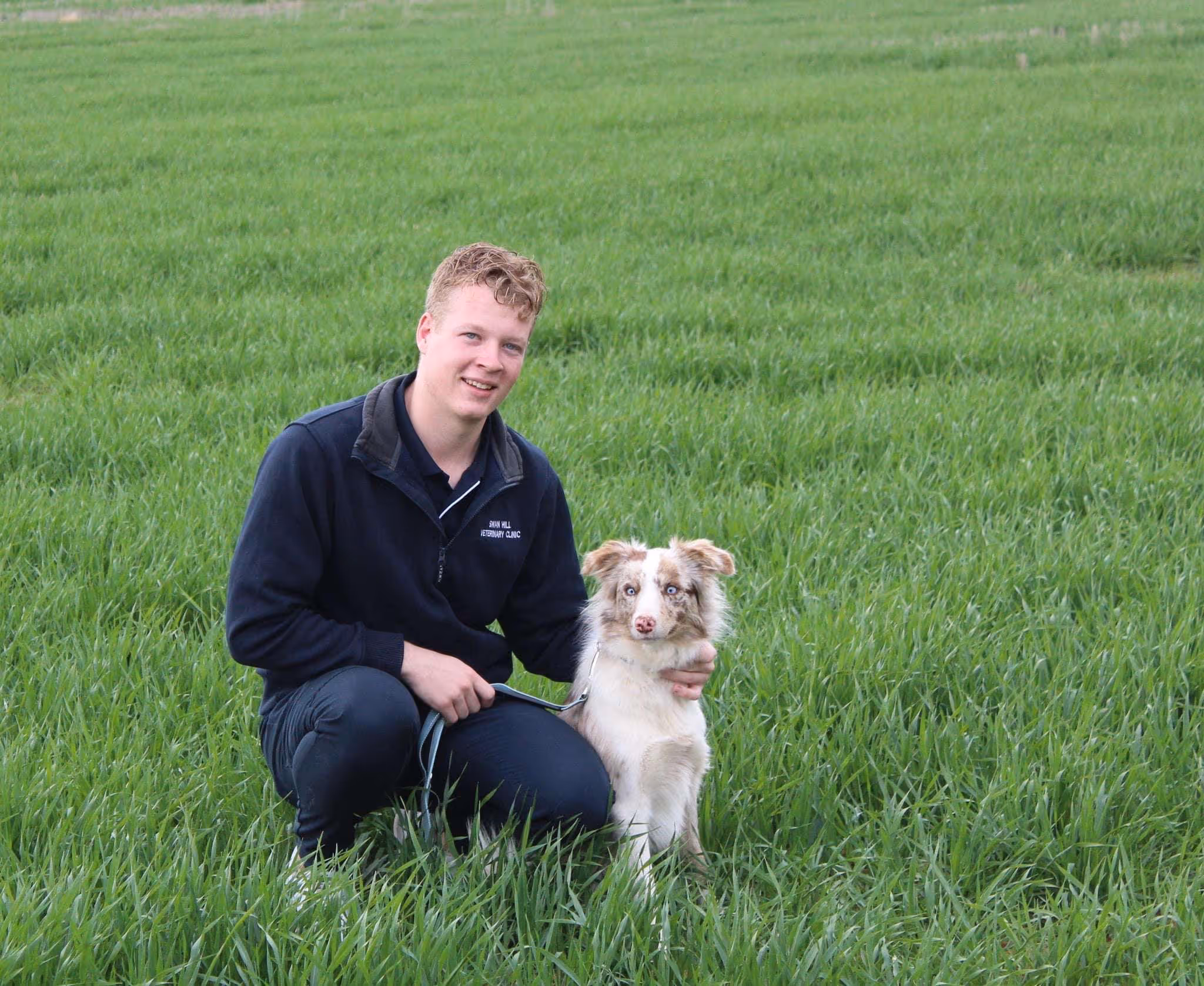 Young man kneeling on grass field with an Australian Shepherd dog with blue eyes on a leash.