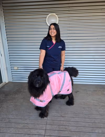 Woman in navy scrubs smiling and standing behind a large black dog wearing a pink coat on a wooden deck with gray metal siding in the background.