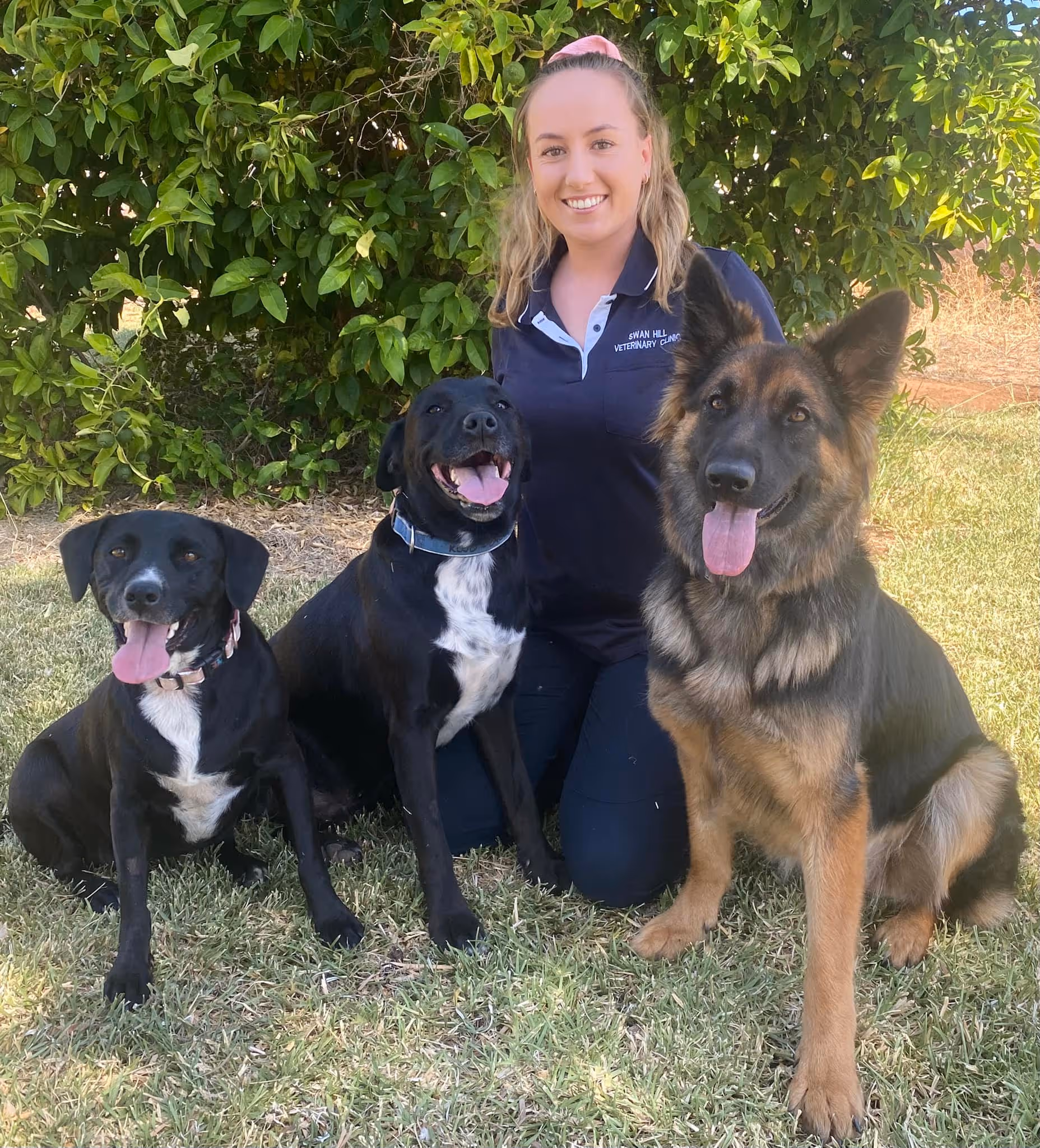Smiling woman kneeling on grass outdoors with three dogs, including two black and white mixed breeds and one large German Shepherd.