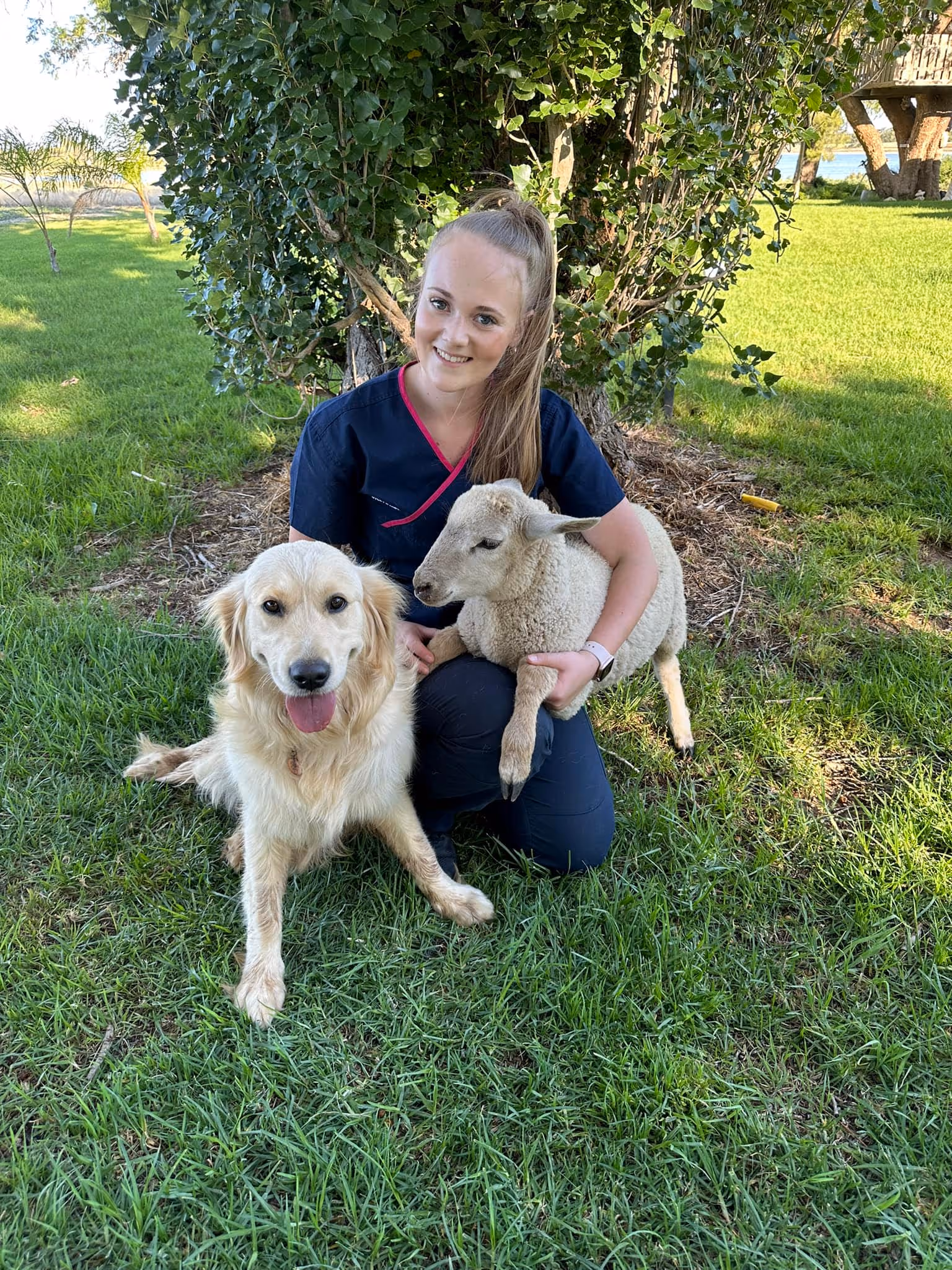 Young woman kneeling on grass, smiling, holding a lamb with a golden retriever sitting beside her.