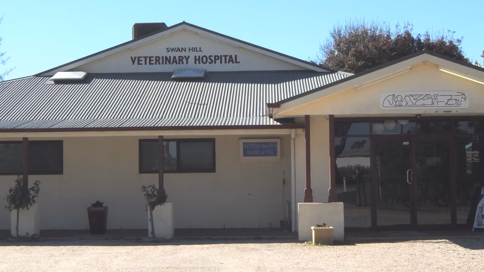 Exterior of Swan Hill Veterinary Hospital building with signage and glass entrance doors.
