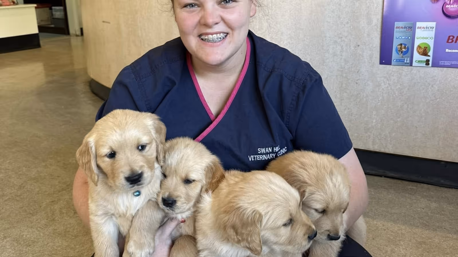 Smiling veterinary nurse in navy scrubs holding four golden retriever puppies inside a veterinary clinic.