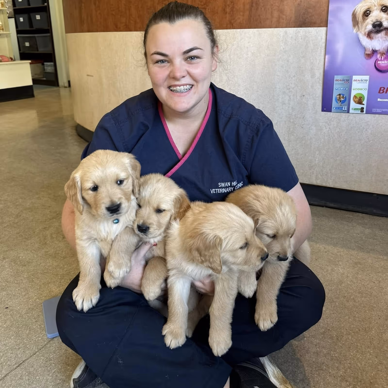 Smiling veterinary nurse in navy scrubs holding four golden retriever puppies inside a veterinary clinic.
