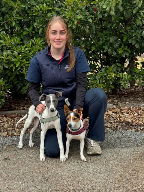 Woman in navy scrubs kneeling outside holding two small dogs with green and red harnesses.
