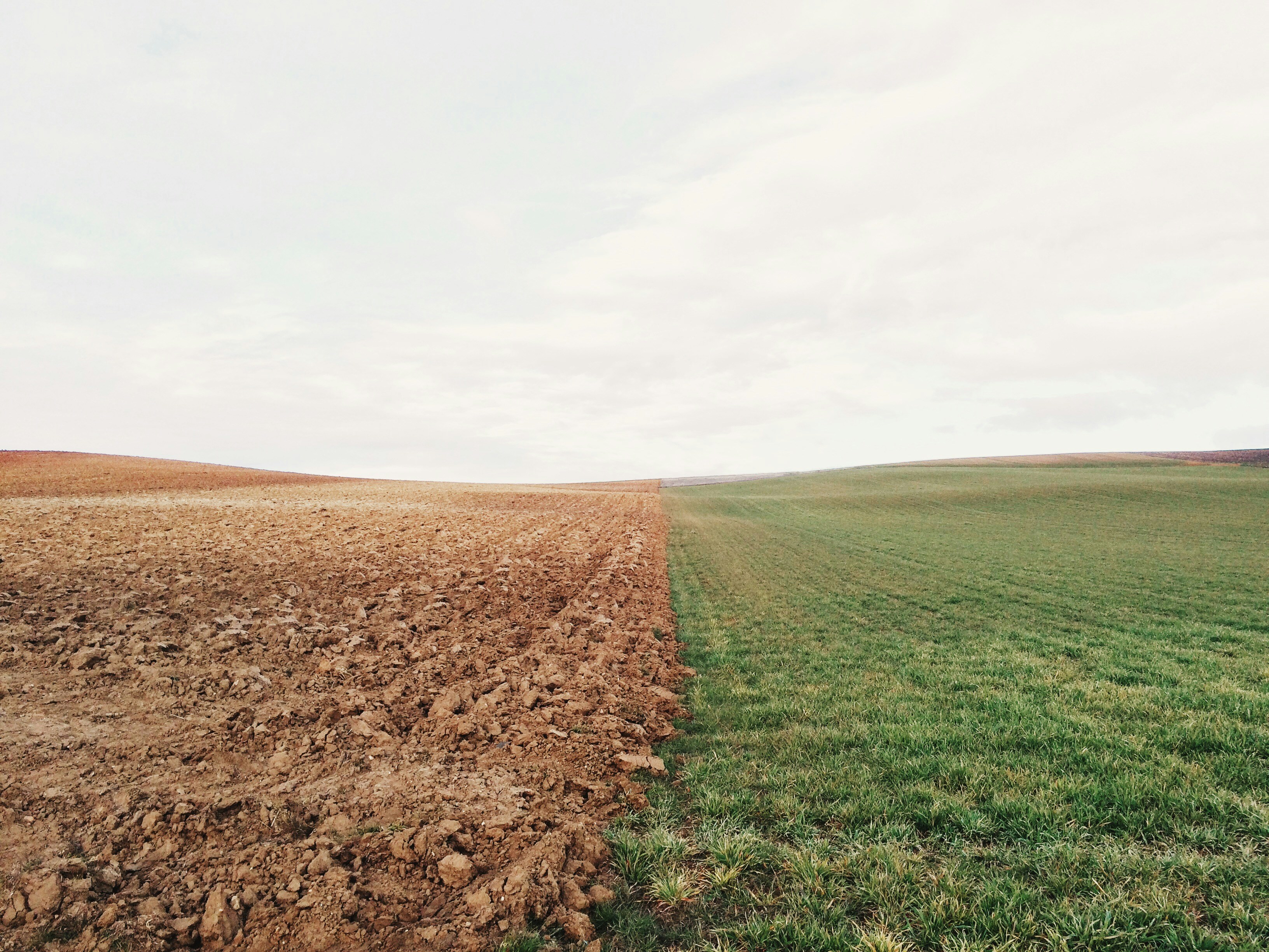 Landwirtschaftliches Feld halb gepflügt und halb mit grüner Saat bewachsen im Vergleich