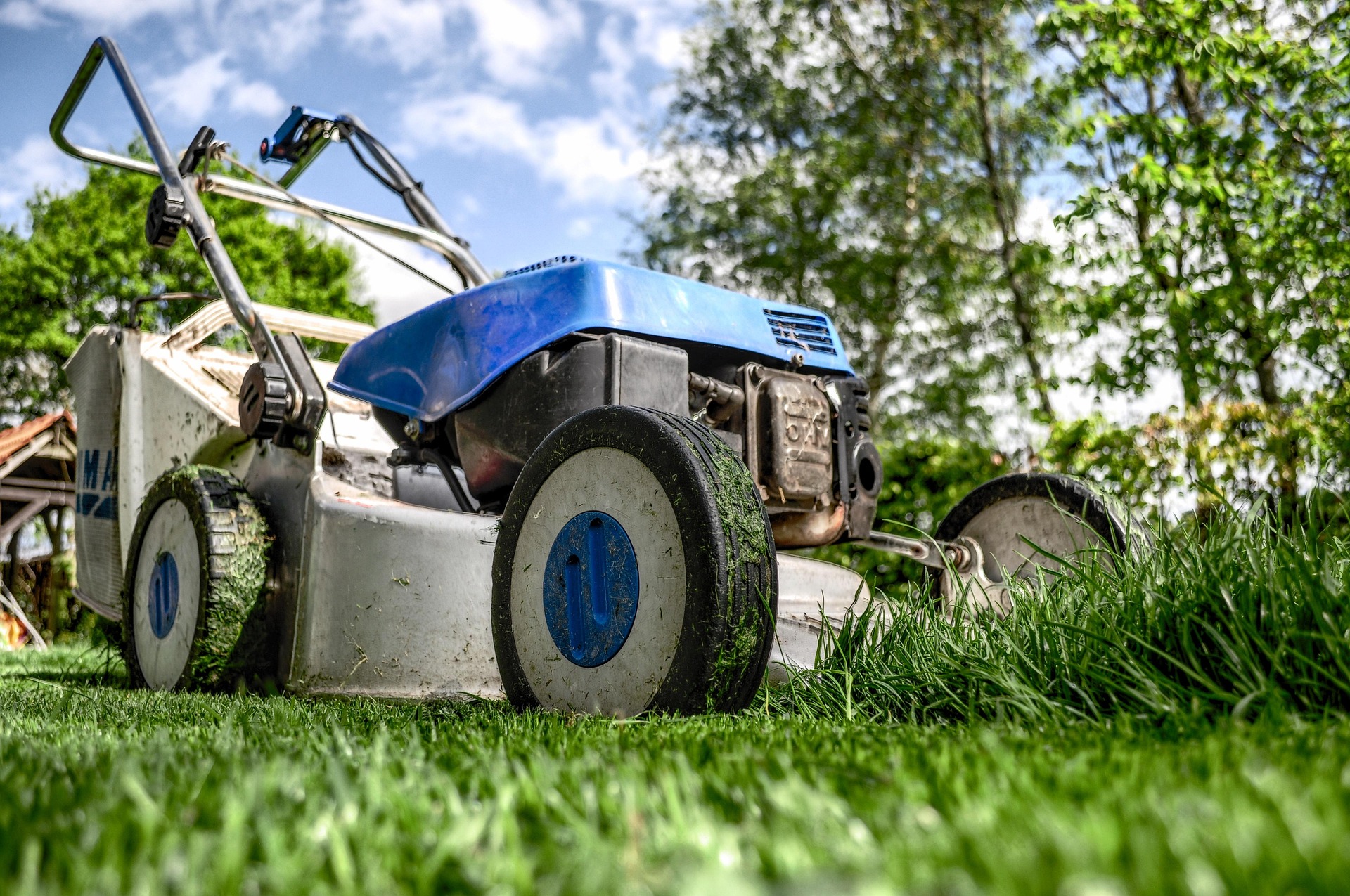 Blauer Benzin-Rasenmäher steht auf frisch gemähtem grünen Rasen im Garten