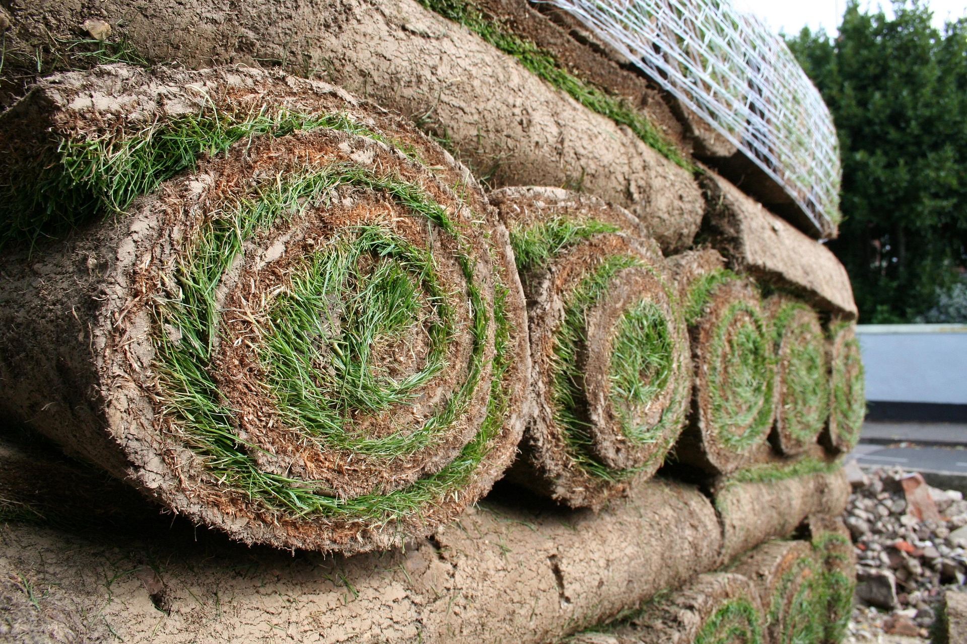 Aufgerollte Rollrasenstücke stapelweise gelagert für die Verlegung im Garten