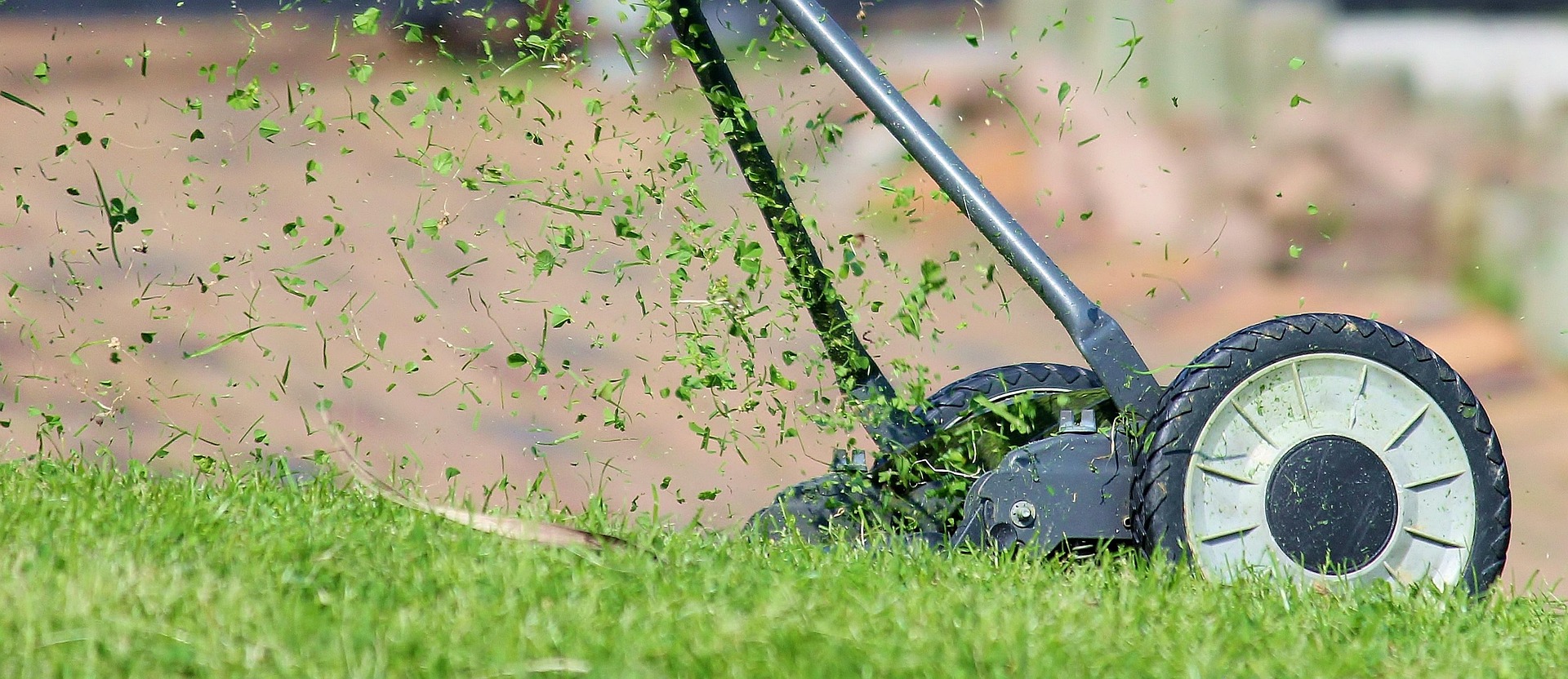Spindelmäher schneidet Rasen, herausfliegende Grasschnittreste in Nahaufnahme