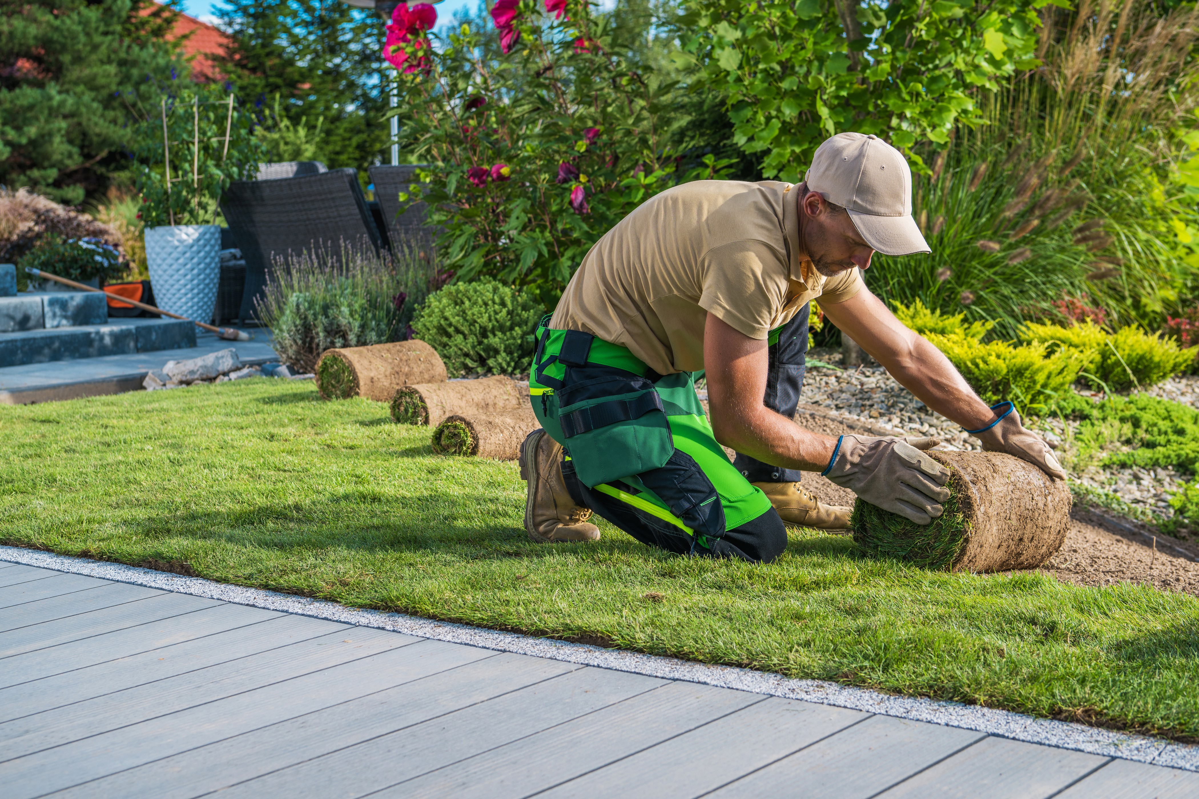 Professioneller Landschaftsgärtner verlegt Rollrasenbahnen fachgerecht im Garten