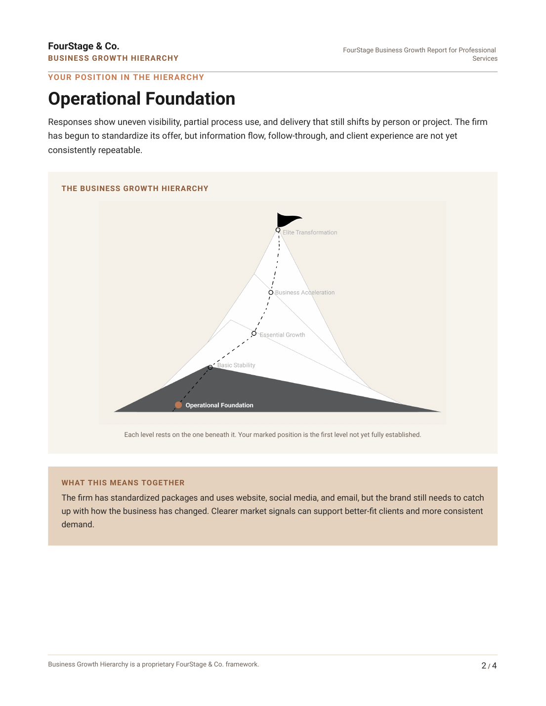 Sample Growth Focus Plan page showing the business position within the five-level Business Growth Hierarchy.