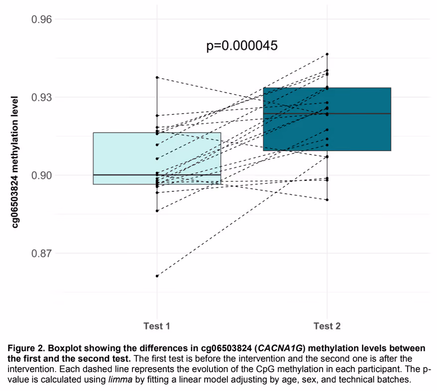 Boxplot showing methylation levels increasing from Test 1 to Test 2 with individual changes linked by dashed lines.