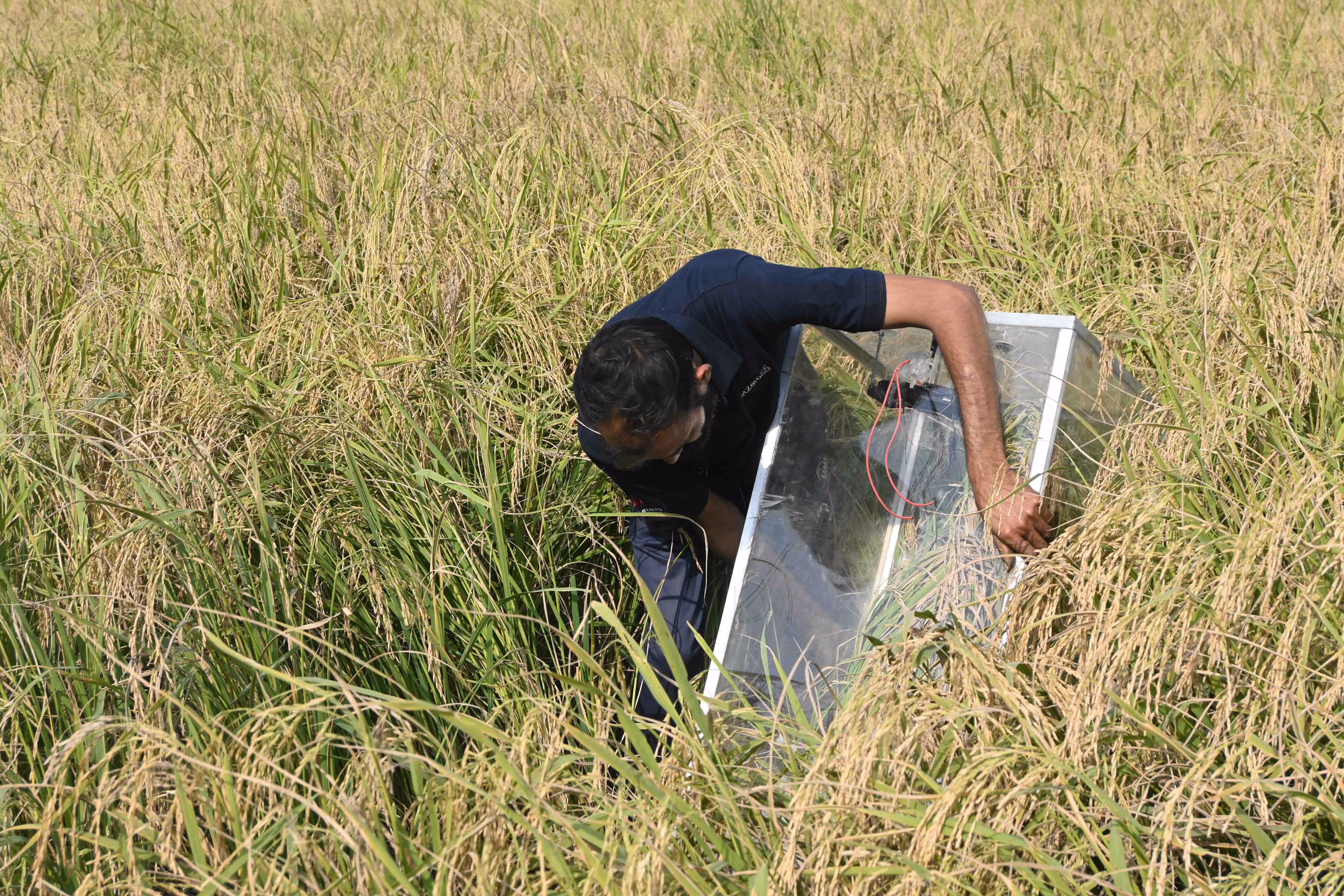 removal of chamber for rice paddy field