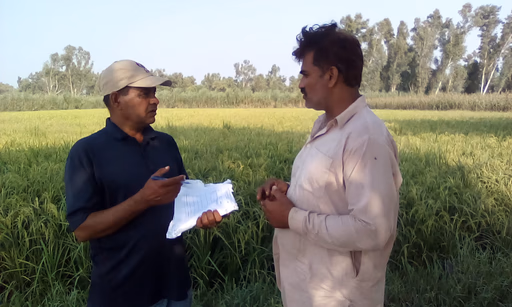 netzeroag pakistan project showing farmer