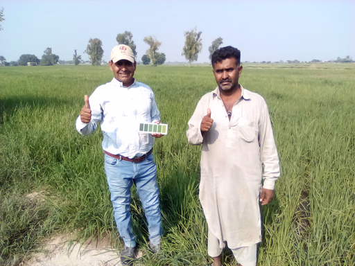 netzeroag pakistan project showing farmer