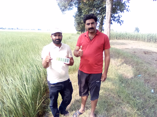 Two men standing in a green field giving thumbs up, one holding a color card.