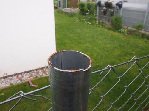 Schlampig geschnittener Zaunsteher