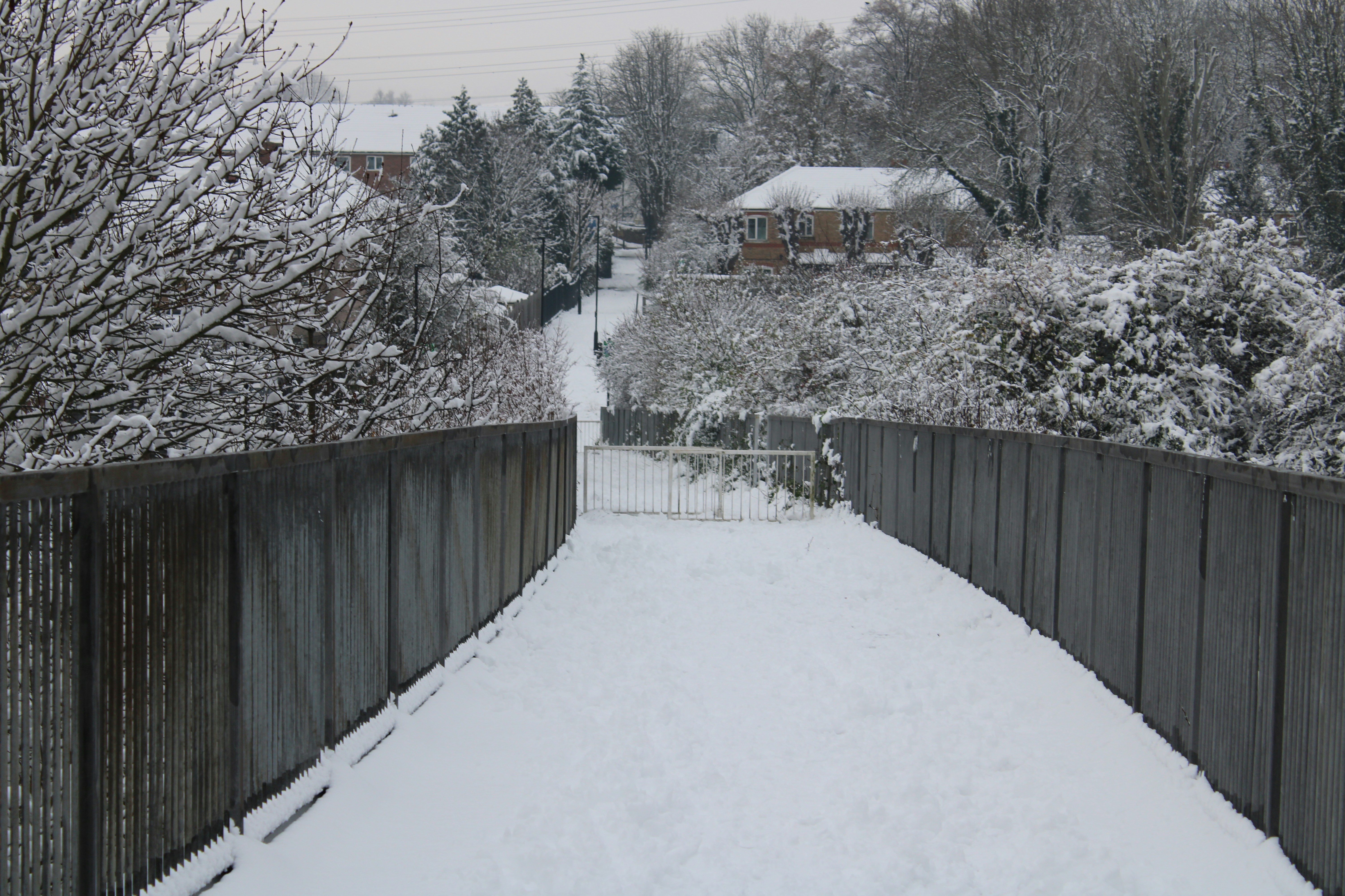 Schneebedeckter Gartenweg zwischen Holzzäunen mit Blick auf winterliche Nachbarhäuser