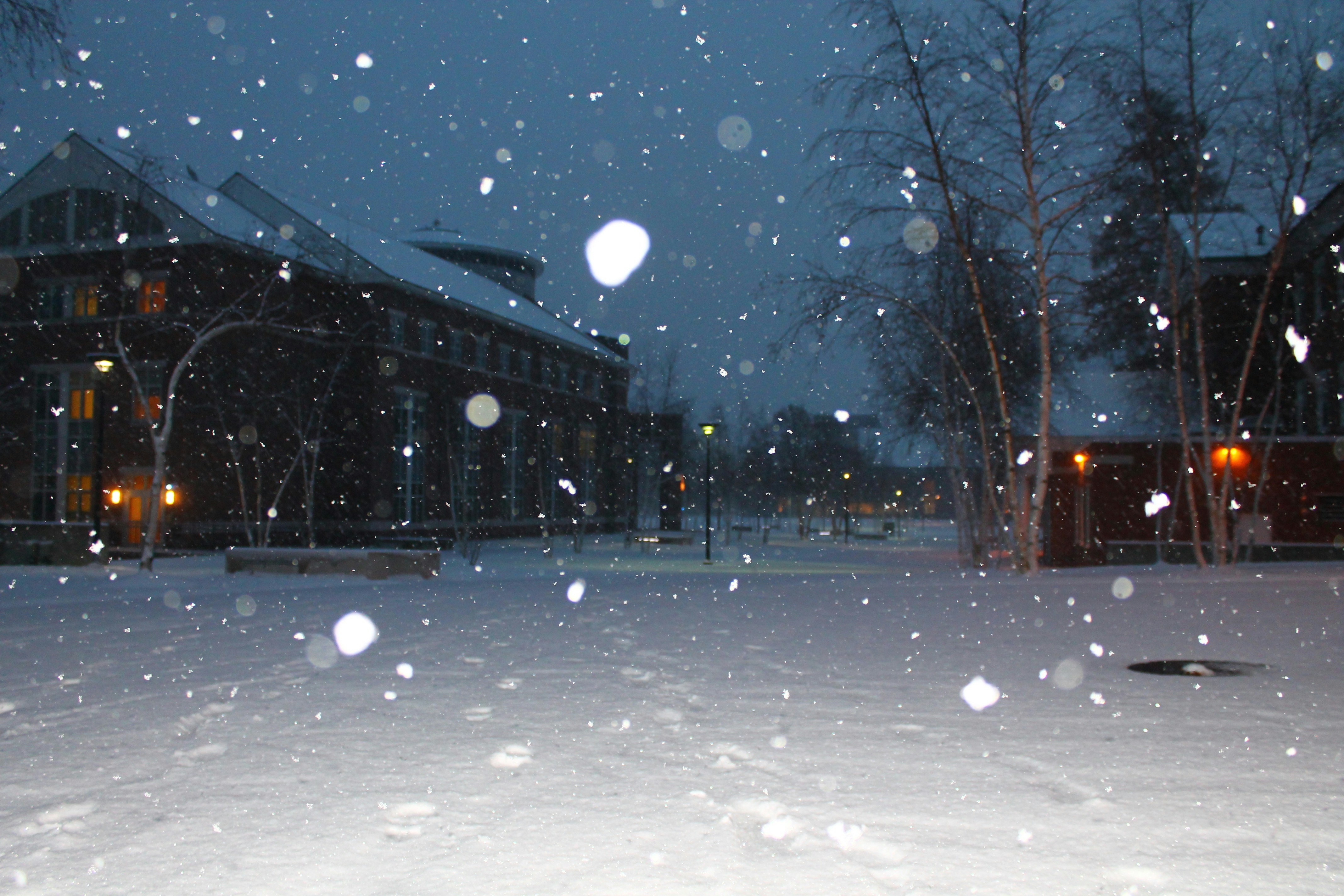 Schneefall in der Abenddämmerung auf einem verschneiten Platz mit beleuchteten Gebäuden und kahlen Bäumen