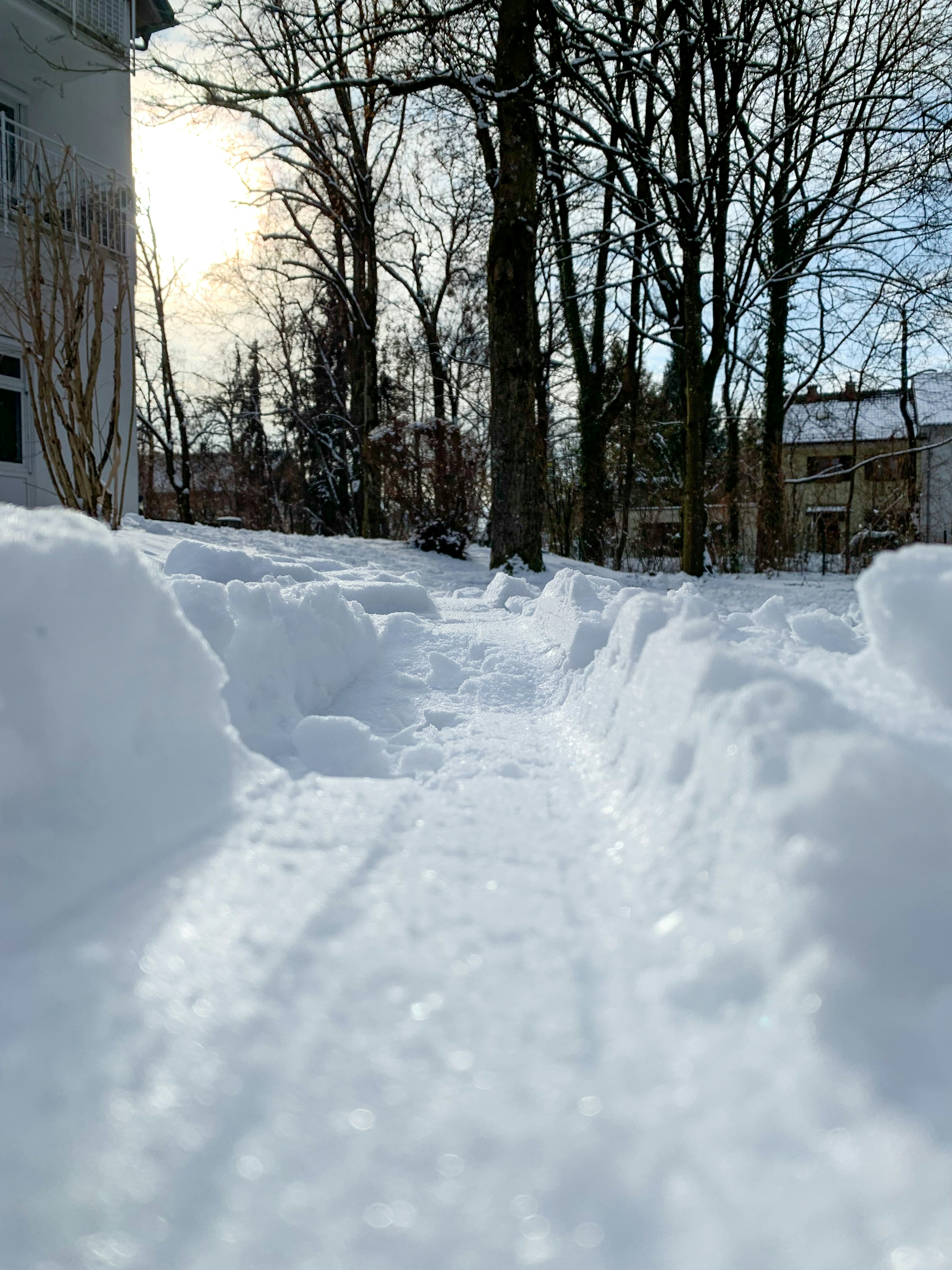 Freigeschaufelter schmaler Fußweg durch tiefen Schnee zwischen Bäumen im Garten