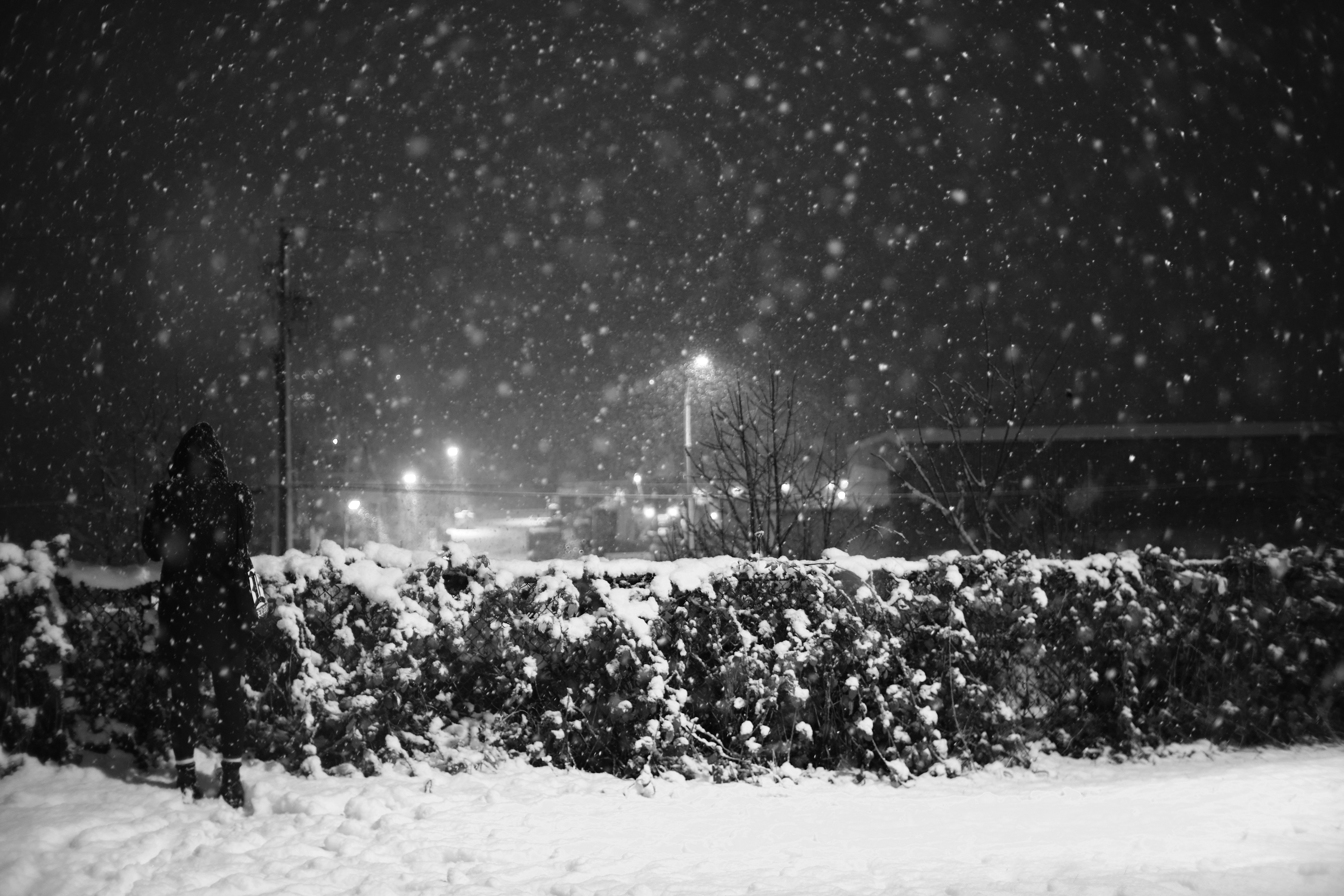 Person in Silhouette steht bei nächtlichem Schneefall vor einer schneebedeckten Hecke, im Hintergrund Straßenlaternen