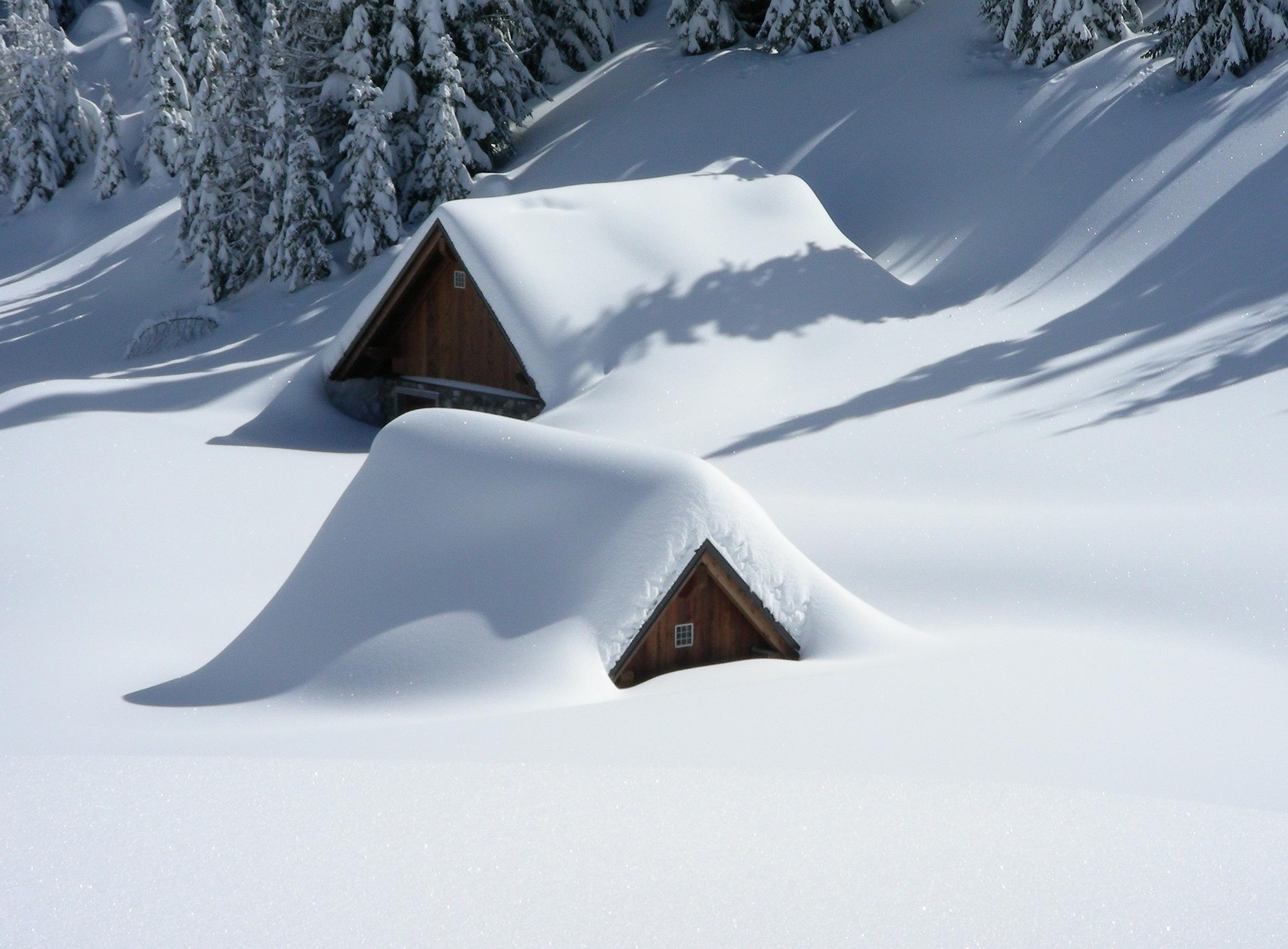Zwei Berghütten fast vollständig unter meterhohem Schnee begraben, umgeben von schneebedeckten Tannen