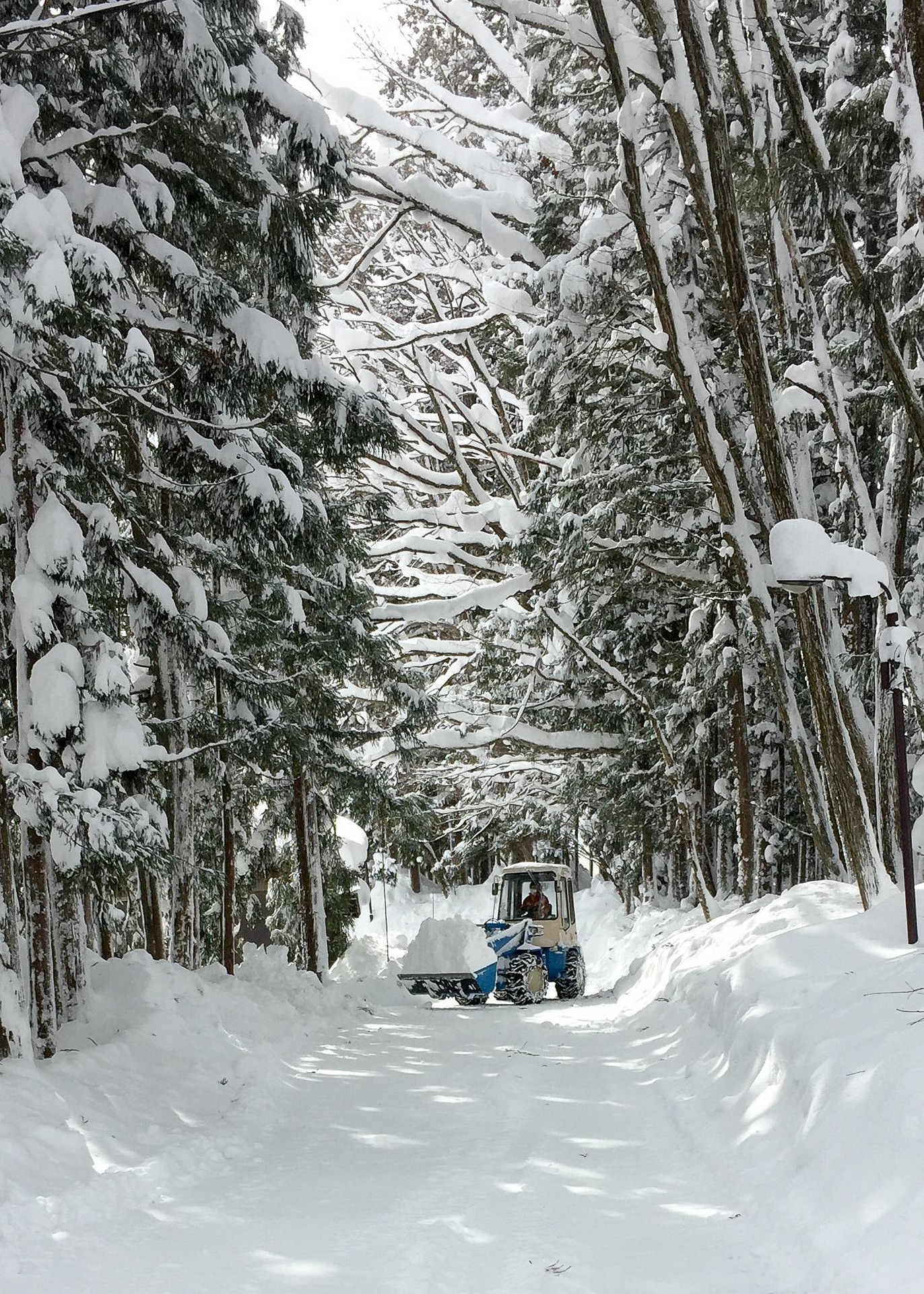 Kleines Räumfahrzeug beseitigt Schnee auf privater Zufahrt im Wald
