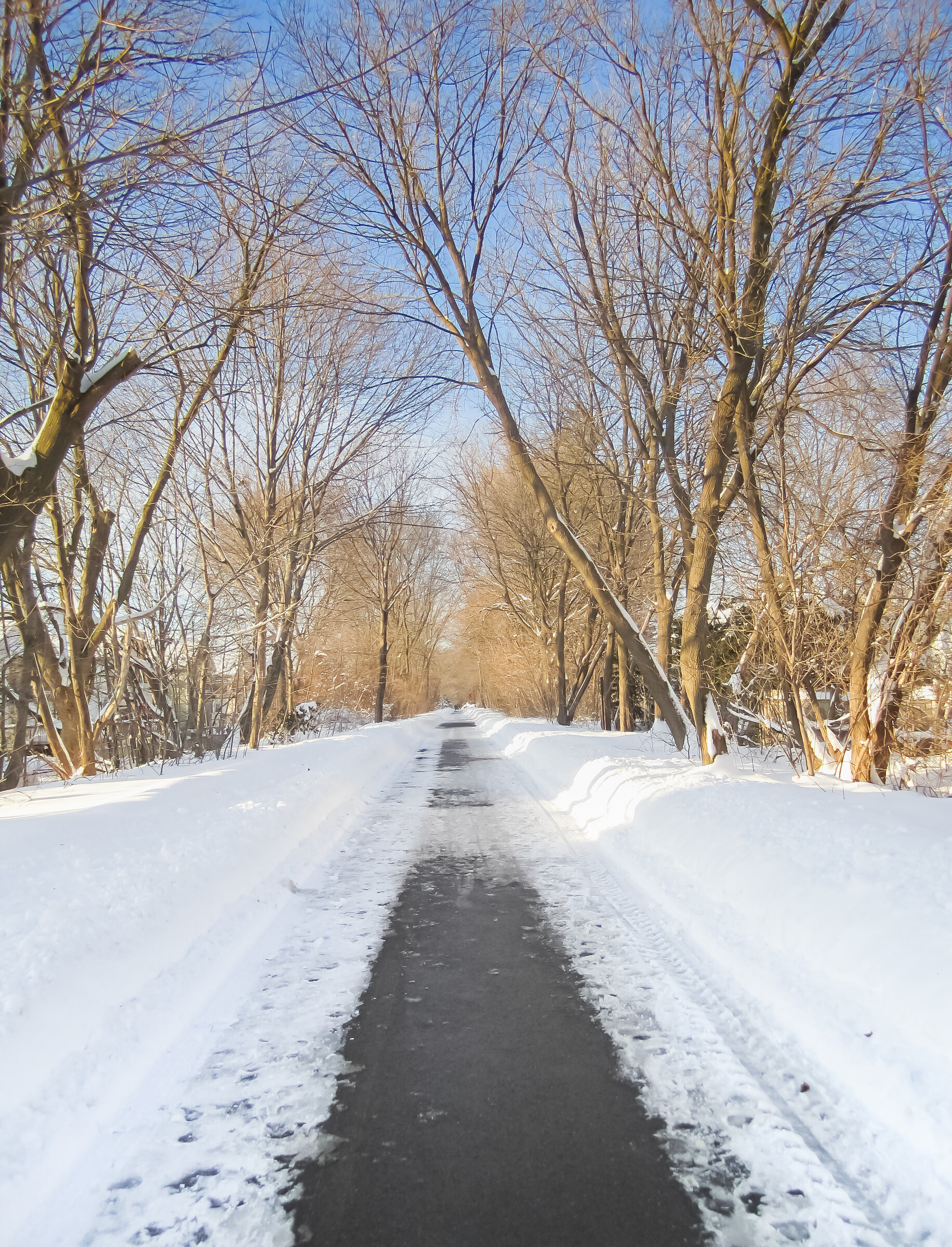 Geräumter winterlicher Weg zwischen Bäumen ohne Einsatz von Streusalz