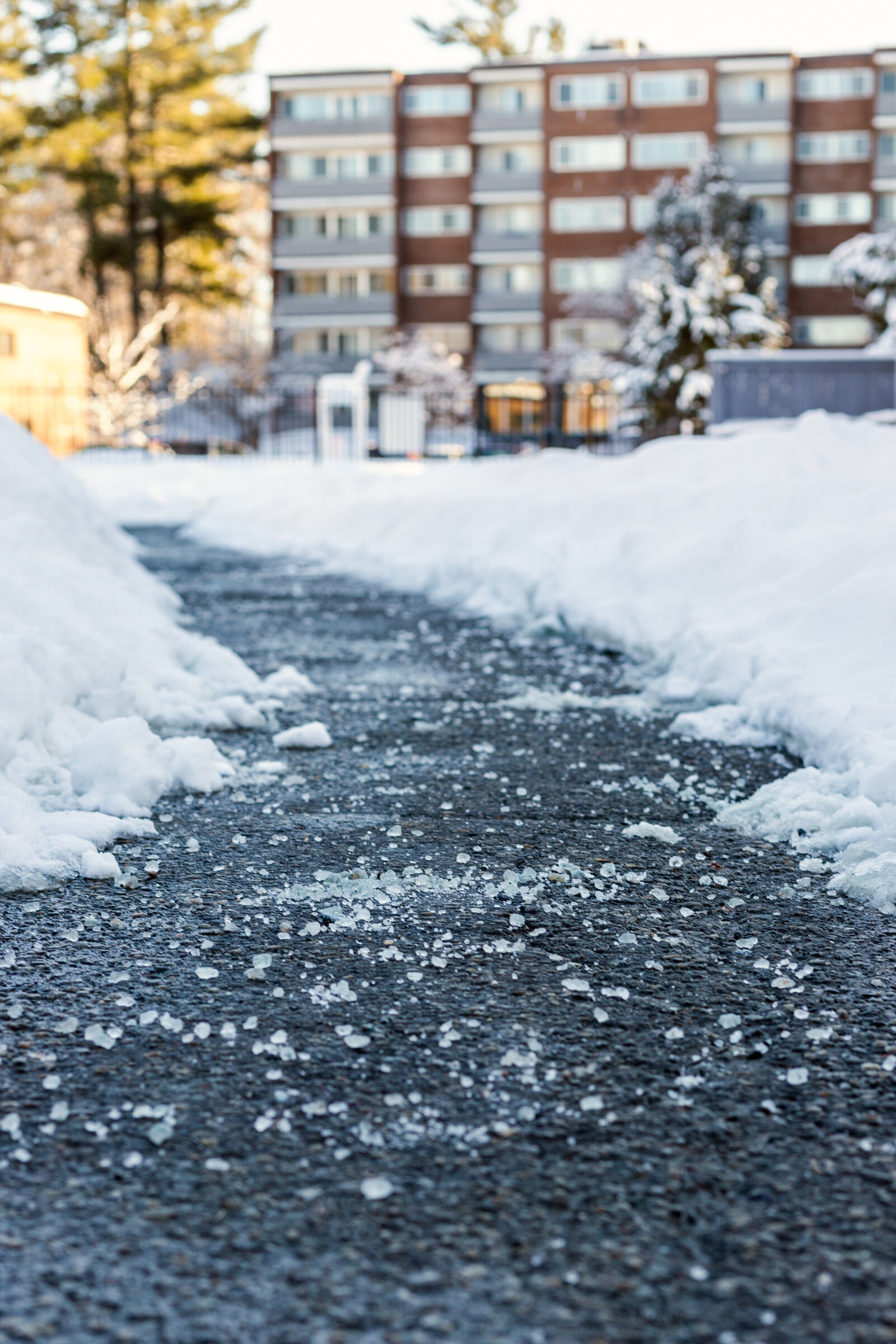 Mit Streugut behandelter, schneefreier Gehweg als Alternative zu Streusalz