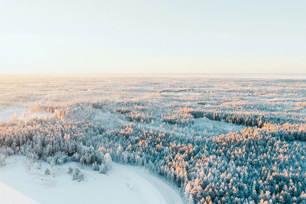 Aerial view of a snow-covered Nordic forest