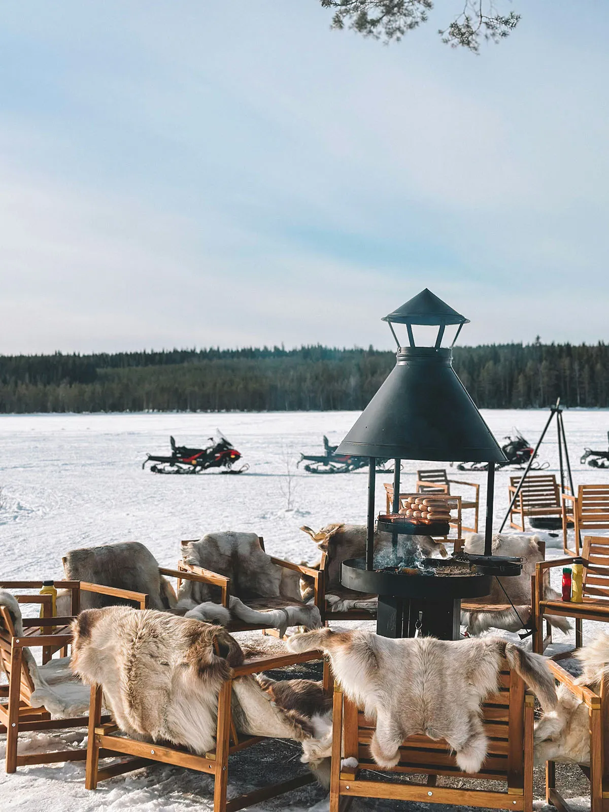 Reindeer gathered at a winter feeding area