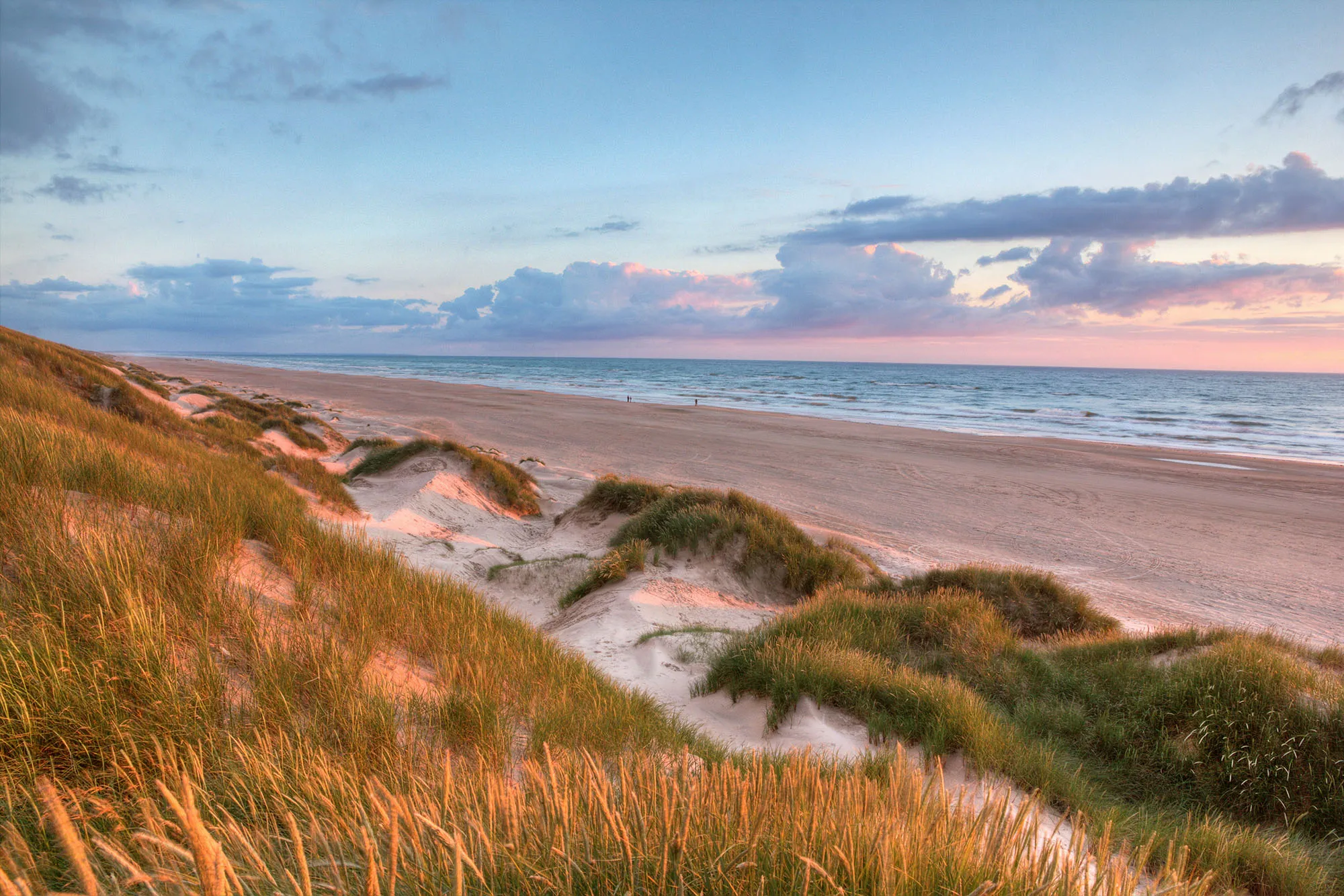 Sandy dunes along the Danish coast