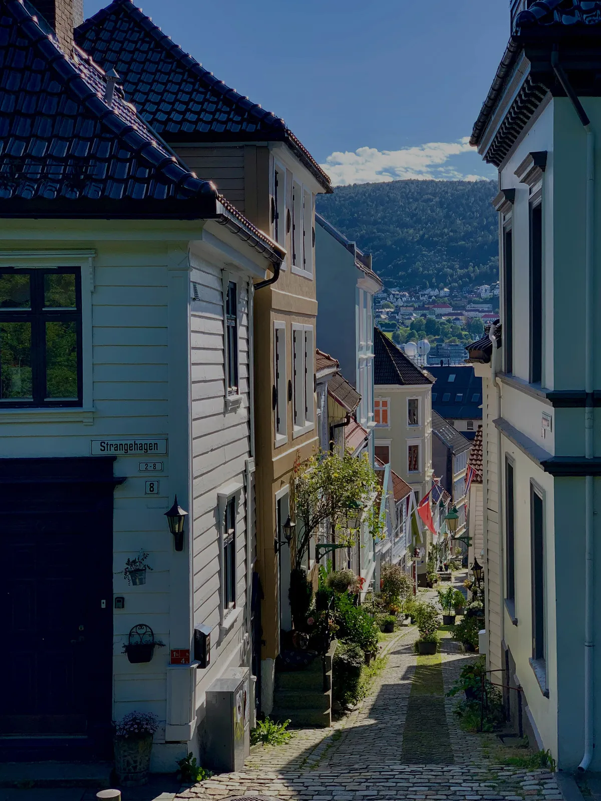 Cobbled lane of white wooden houses in Bergen