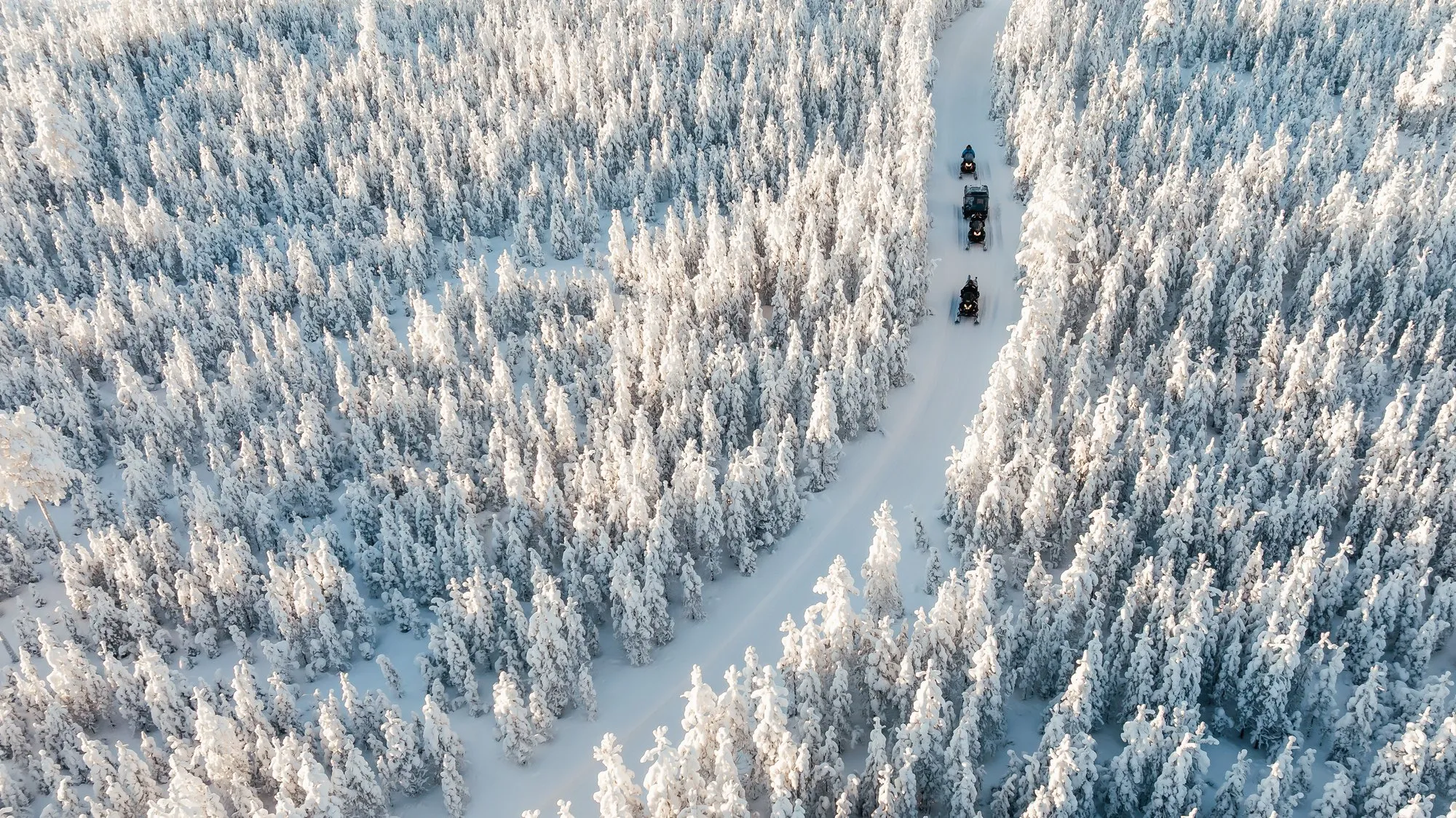 Aerial view of snowmobiles on a trail through snow-covered forest in Finnish Lapland
