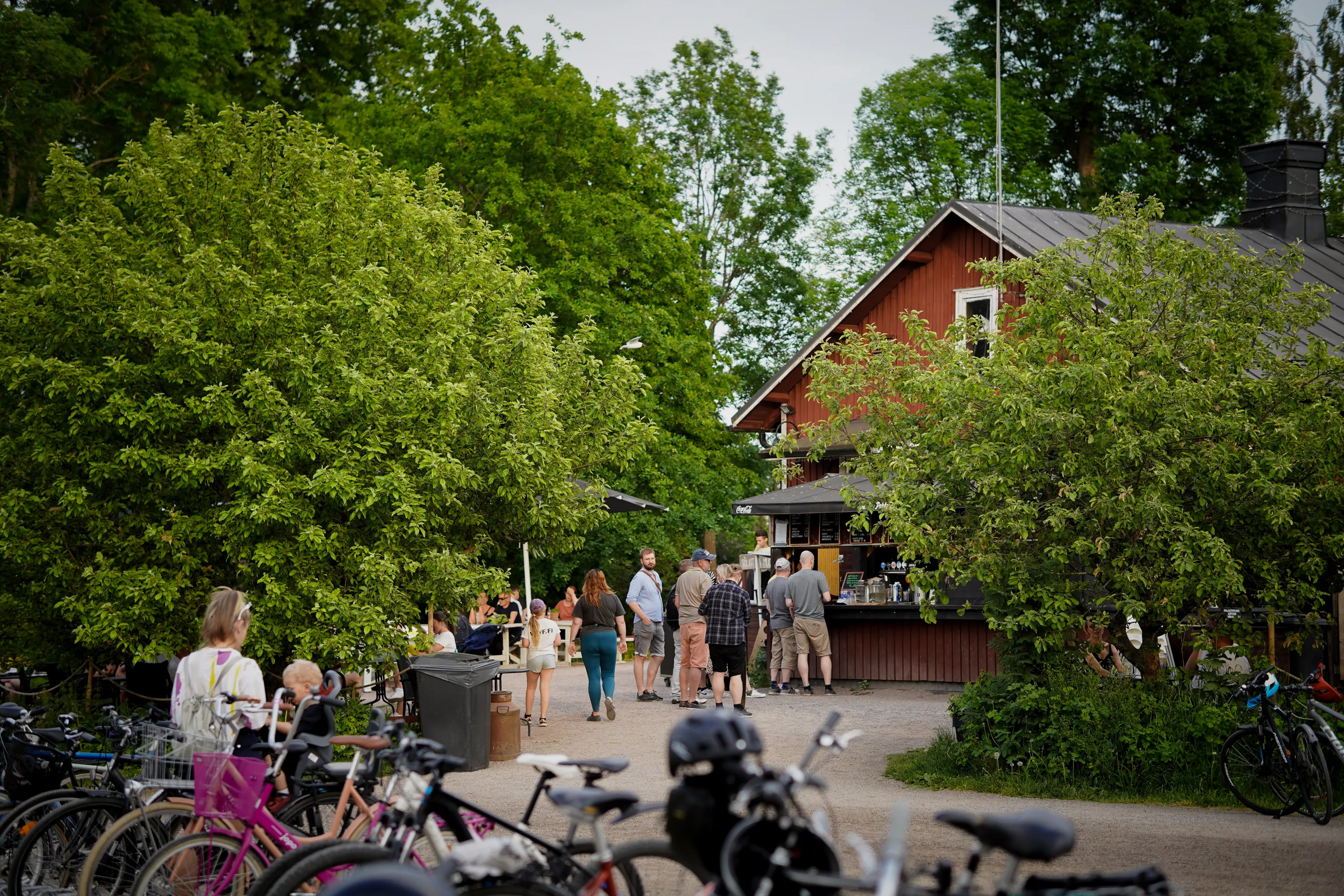 Vehreiden puiden ja pensaiden ympäröimä ulkoilmakahvila tai -kioski. Punainen puurakennus näkyy taustalla. Useita ihmisiä jonottaa tumman myyntipisteen edessä ja istuu pöytien ääressä. Etualalla on rivi polkupyöriä. Valo on pehmeä ja hajanainen.
