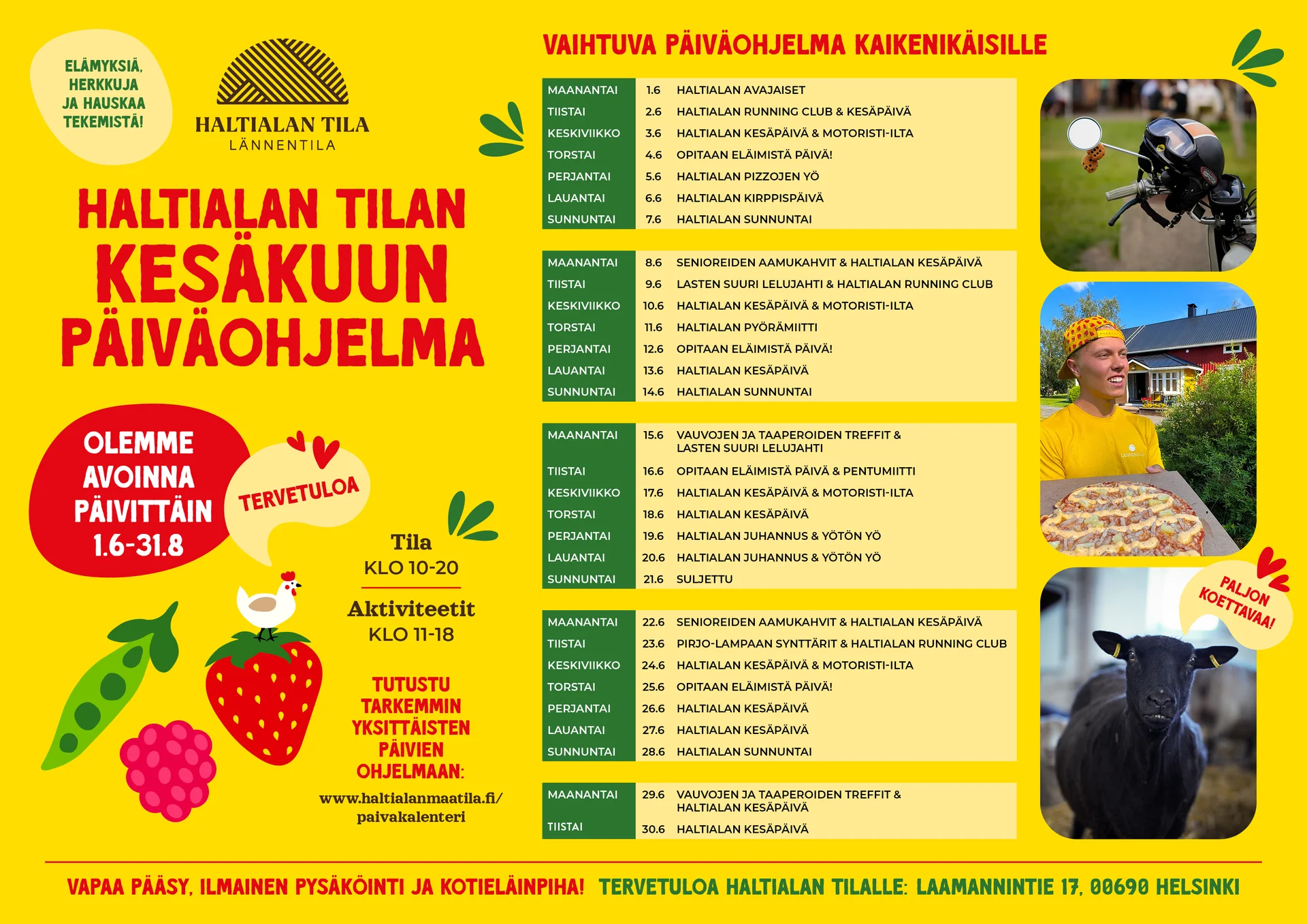 Keltainen juliste Haltialan tilan kesäkuun ohjelmasta. Ylävasemmalla tilan logo ja teksti 'Elämyksiä, herkkuja ja hauskaa tekemistä!'. Keskellä suuri otsikko 'Haltialan tilan kesäkuun päiväohjelma'. Oikealla vaaleankeltainen laatikko, jossa on 'Vaihtuva päiväohjelma kaikenikäisille' ja luettelo kesäkuun päivittäisistä tapahtumista.