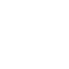 Icono de un escudo.