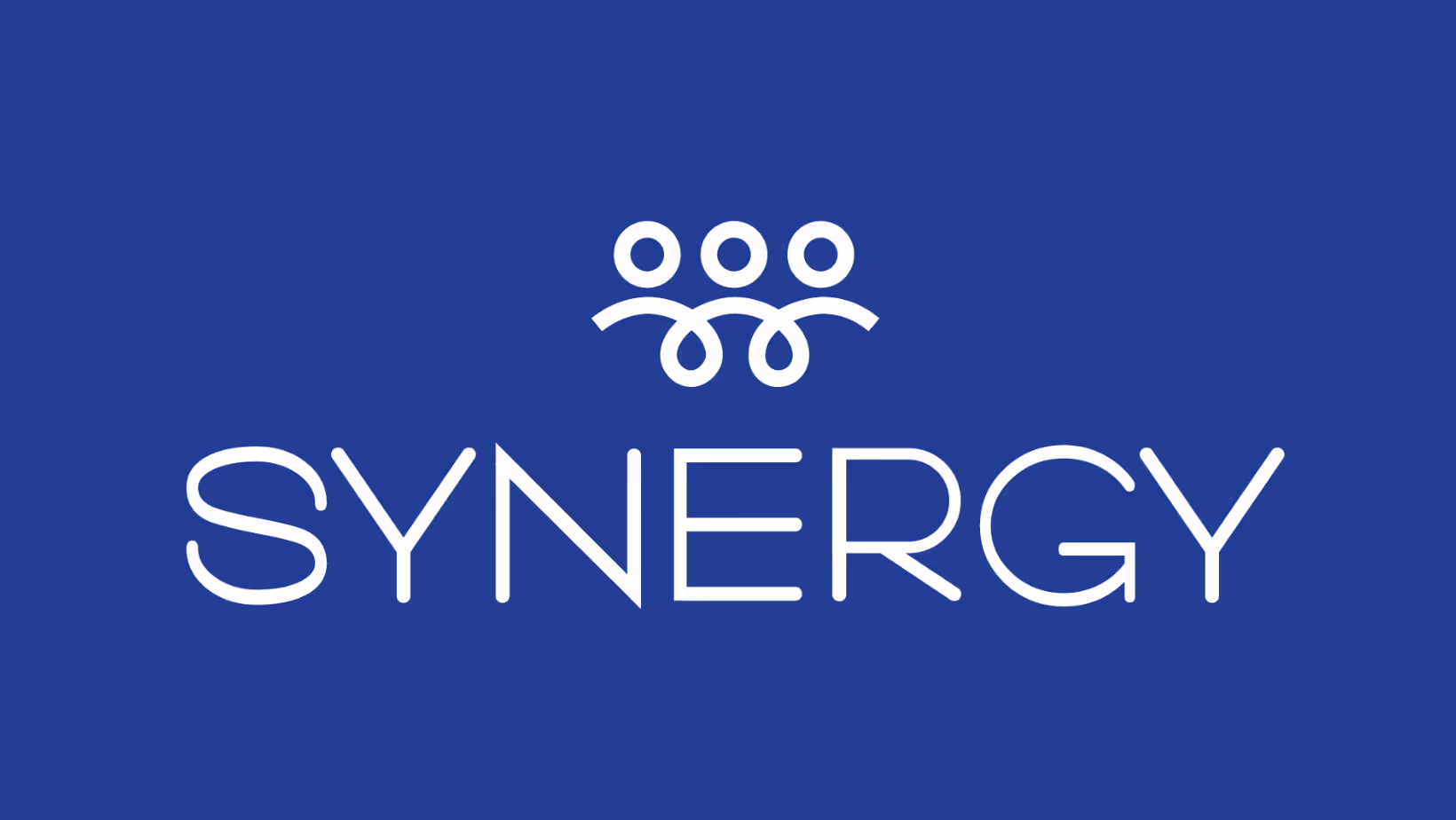 Thumbnail for The Synergy Story