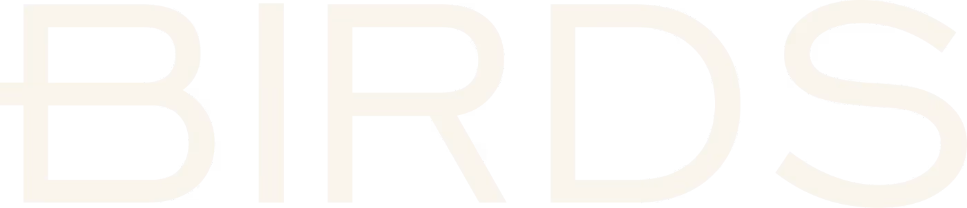 Logo Night Birds Agency