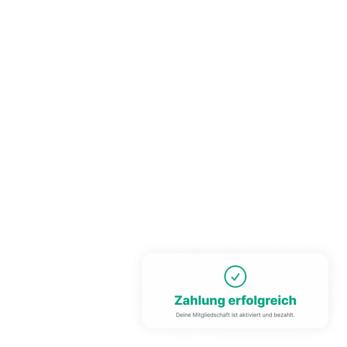 Zweite Ansicht der Beitragsübersicht im Digitalen Vereinsheim mit Zahlungsstatus der Mitglieder.