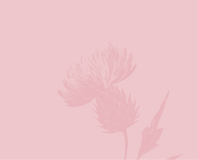 image background color light pink with flowers