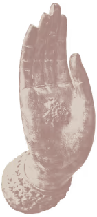 Open right hand with the palm facing forward and fingers together, showing detailed skin texture.