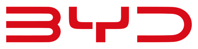 Stylized BYD logo in bold red font with a modern design.