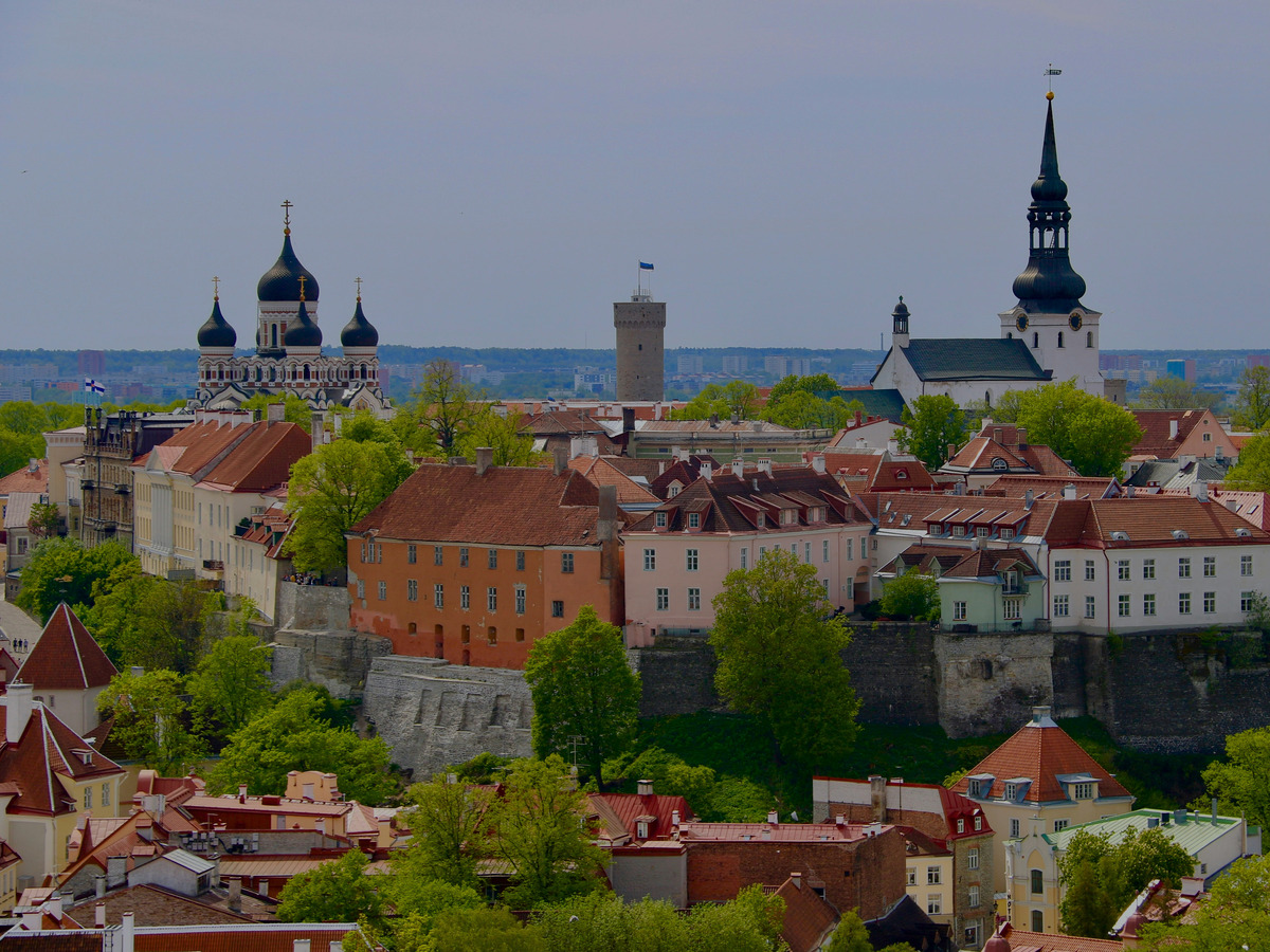 Hands-on Estonian cooking workshop in Tallinn