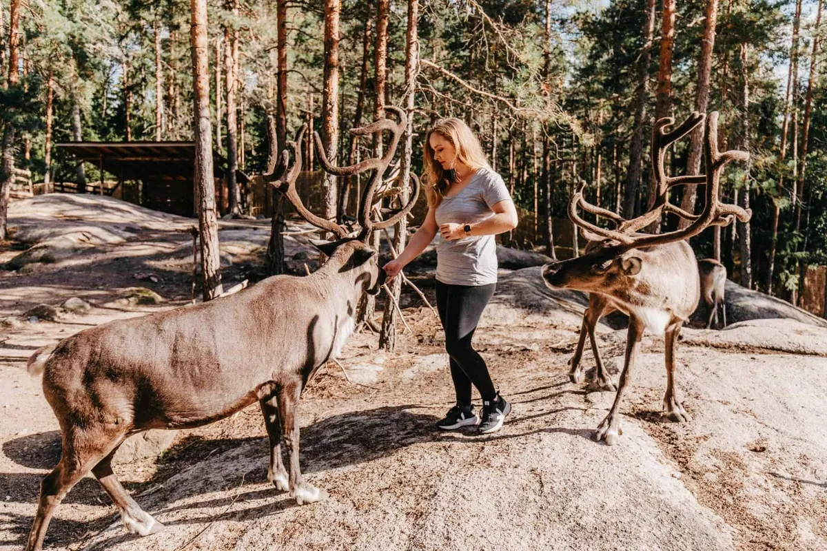 Private reindeer experience near Helsinki with hot drinks by the fire