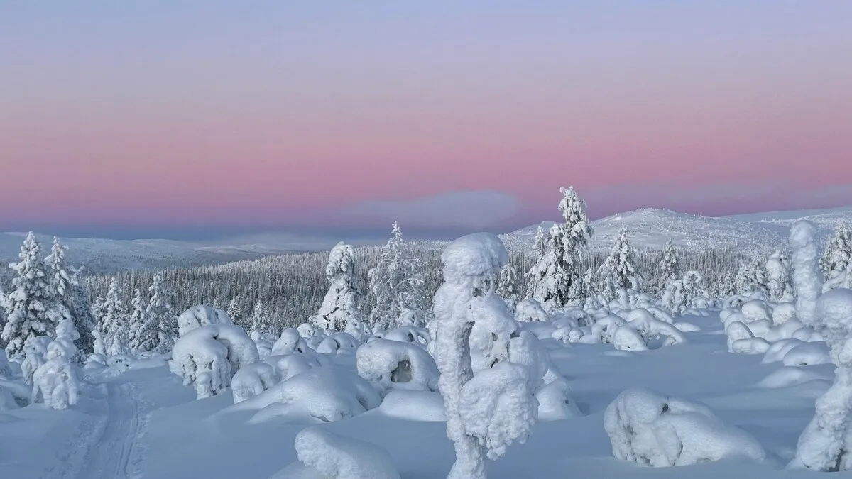 6 days in Pyhä, Finnish Lapland. Private villa stay, Santa day, huskies, reindeer and family-paced winter logistics.
